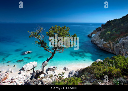 Cala Goloritzè Strand, Baunei (OG), Sardinien, Italien, Europa Stockfoto