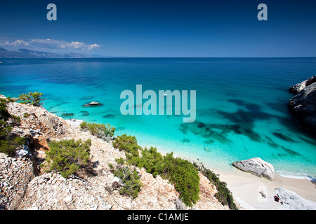 Cala Goloritzè Strand, Baunei (OG), Sardinien, Italien, Europa Stockfoto