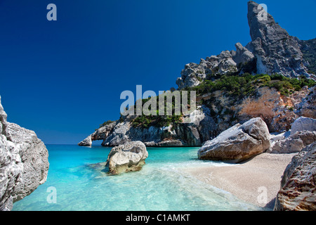 Cala Goloritzè Strand, Baunei (OG), Sardinien, Italien, Europa Stockfoto