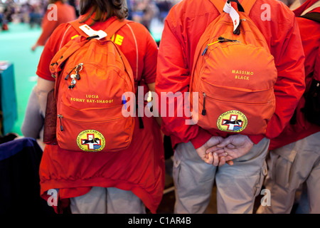 Crufts internationale Hundeausstellung 2011 Stockfoto