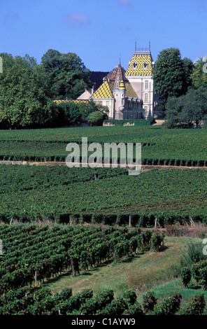 Frankreich, Cote d ' or, Aloxe Corton Weinberg in der Nähe von Beaune Stockfoto