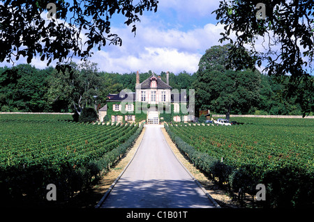 Frankreich, Cote d ' or, Domaine d'Ardhuy (Cotes de Beaune Weinberg) Stockfoto