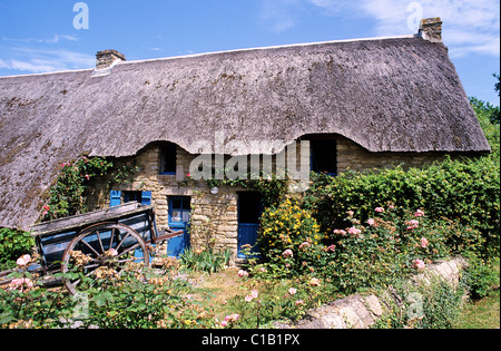 Frankreich, Loire-Atlantique, Briere Naturpark, eine überdachte Hütte im Dorf Kerhinet Stockfoto