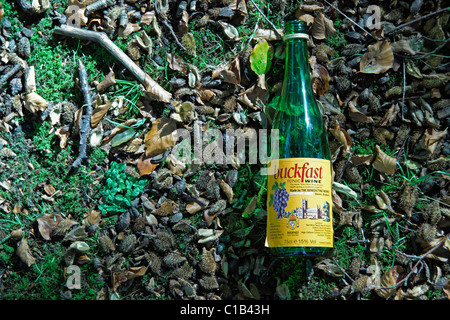 Leere Flasche Buckfast liegen auf Erden im park Stockfoto