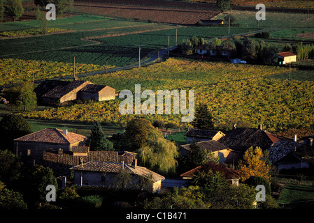 Frankreich, Tarn, Gaillac Weinberg Stockfoto