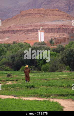 Mann kommt herein tragen Nonnen gegen ein Minarett der Moschee eine Oase/Palmery in der Nähe von Tinehir im südlichen Marokko Dades Tal Stockfoto