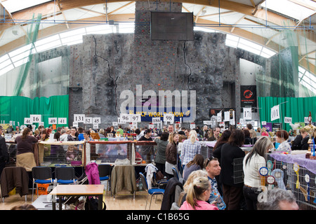 Züchter und Besucher auf WCF World Show am 13. März 2011, Warschau, Polen Stockfoto