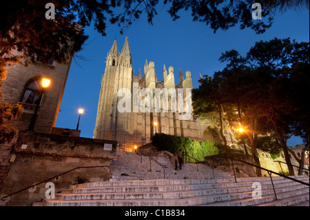 ES - MALLORCA: La Seu Kathedrale von Palma De Mallorca, Spanien Stockfoto