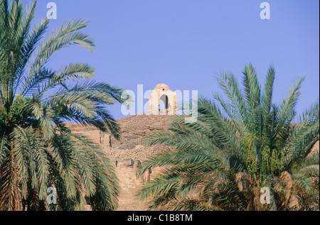 Ägypten, Aswan, Sturz von einem heiligen Mann an der Spitze eines Hügels mit Palme im Vordergrund Stockfoto
