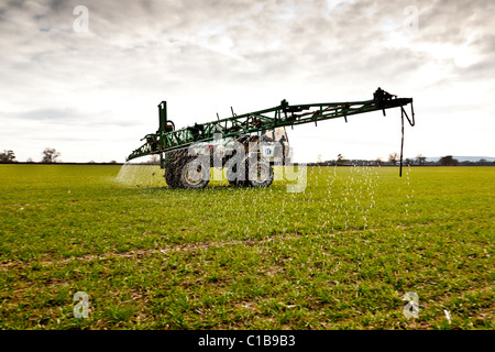 150l/ha N35 Dünger Spritzen auf einem 60 Hektar der Sonnenwende Weizenfeld Rilled 10.03.09 auf kleinen Flanchford Bauernhof. Stockfoto