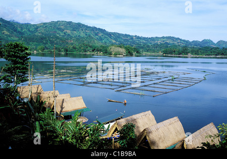 Philippinen (Filipino), Mindanao Insel, Lake Sebu Stockfoto