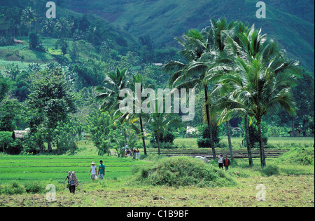 Philippinen (Filipino), Mindanao Insel, Bereich der Lake Sebu, zurück aus den Bereichen Stockfoto