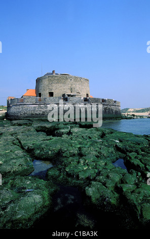 Frankreich, Pas-De-Calais, Ambleteuse, das Fort Stockfoto