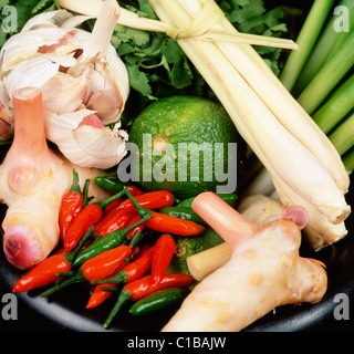 & Gewürze Kräuter für Thai-Küche Stockfoto