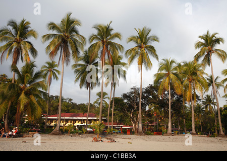 Der Strand in Manuel Antonio, Costa Rica Stockfoto