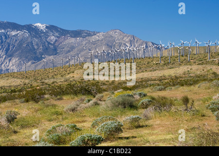 Eines Windparks in der Wüste von Kalifornien. Stockfoto