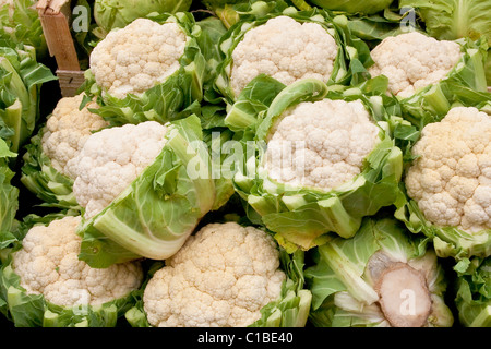 Blumenkohl zu verkaufen Stockfoto