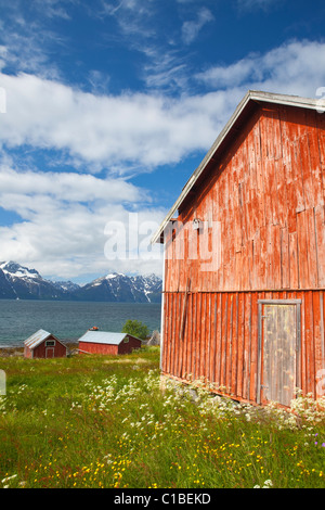 Traditionellen roten Scheunen Linie einen malerischen Fjord, umrahmt von einer schneebedeckten Bergkette, Djupvik, Lyngen Fjord, Troms, Norwegen Stockfoto