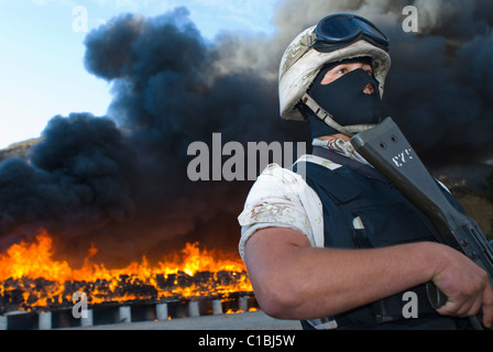 Die größte Beschlagnahme von Marihuana in der mexikanischen Geschichte und seine brennen fand in Tijuana, Baja California am 18. Oktober 2010 statt. Stockfoto