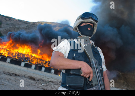 Die größte Beschlagnahme von Marihuana in der mexikanischen Geschichte und seine brennen fand in Tijuana, Baja California am 18. Oktober 2010 statt. Stockfoto