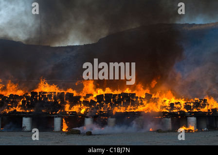 Die größte Beschlagnahme von Marihuana in der mexikanischen Geschichte und seine brennen fand in Tijuana, Baja California am 18. Oktober 2010 statt. Stockfoto