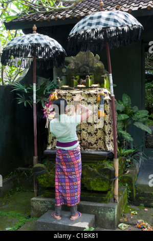 Balinesische Frau Morgen Opfergaben in einem Schrein in Ubud Bali Indonesien Ubud Stockfoto