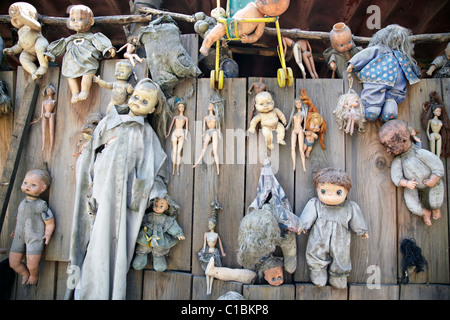 Puppen-Kopf auf Puppe Insel In Xochimilco Kanäle Mexico City-Mexiko Stockfoto