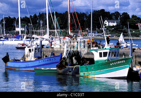 Frankreich, Morbihan, La Trinite Sur Mer, Trawler im Hafen Stockfoto