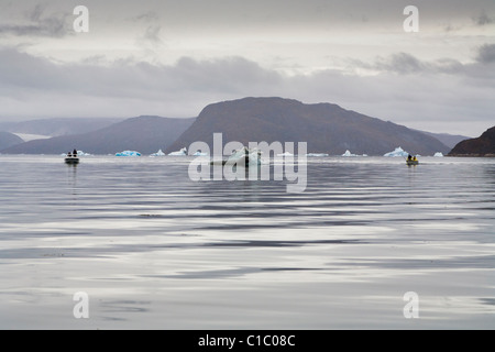 Siegel-Jäger auf der Suche nach Dichtungen, Süd-Grönland Stockfoto