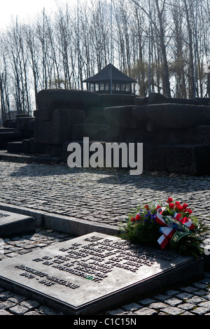 Denkmal-Plakette an Auschwitz II-Birkenau, Polen. Stockfoto