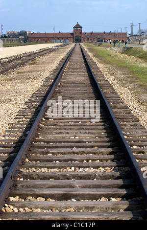 Eisenbahnlinien und Eingang zu Auschwitz II-Birkenau, Polen. Stockfoto