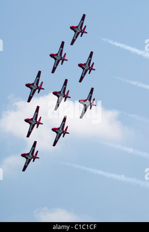 Die kanadische Snowbirds führen Luftakrobatik in Montreal, Kanada. Stockfoto