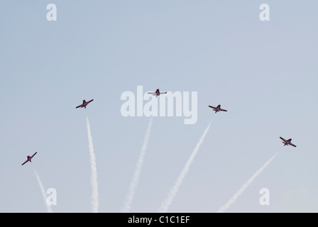 Die kanadische Snowbirds führen Luftakrobatik in Montreal, Kanada. Stockfoto