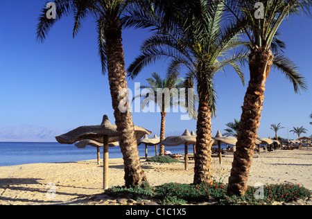 Ägypten, Sinai-Halbinsel, der Strand von Nuweiba, ein kleiner Badeort in den Golf von Aqaba Stockfoto