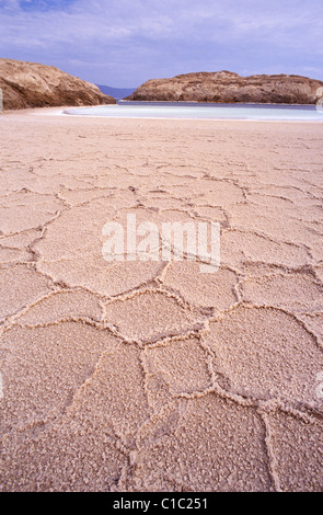 Djibouti, Lake Assal, Salzkruste Stockfoto