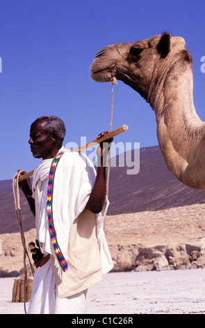 Djibouti, Lake Assal, Salz Wohnwagen Stockfoto