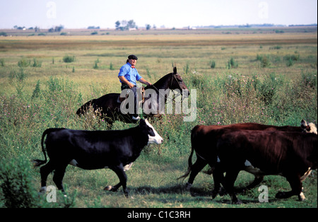 Argentinien, San Antonio de Areco, Cimacina estancia Stockfoto