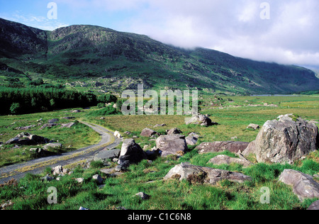 Republik von Irland, County Kerry, Iveragh-Halbinsel in Richtung Kenmare Killarney Stockfoto