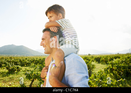 Vater und Sohn Schweinchen im Weinberg Stockfoto