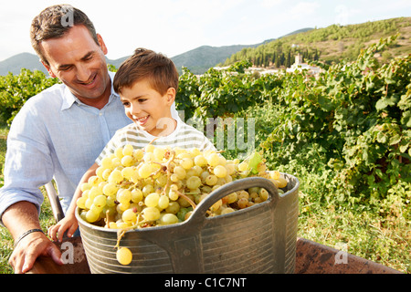 Vater und Sohn mit Trauben im Weinberg Stockfoto