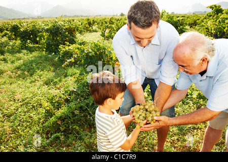 Generationsübergreifende Familienholding Trauben Stockfoto
