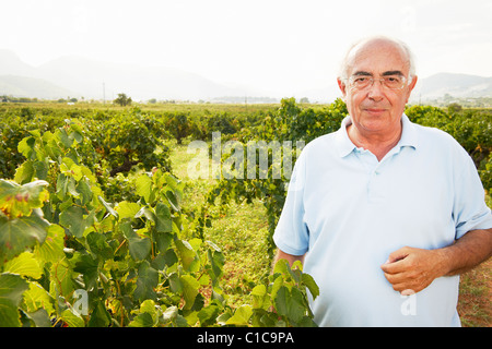 Leitende Stellung im Weinberg Stockfoto