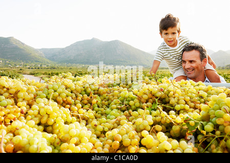 Vater und Sohn Blick auf Haufen von Trauben Stockfoto