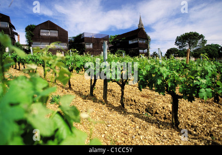 Frankreich, Gironde, Bouliac, St. James Hotel Weinberg Stockfoto