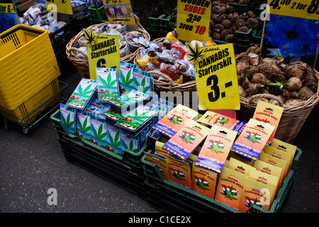 Cannabis-Starter-Kits an die Blumenmärkte, Amsterdam Stockfoto