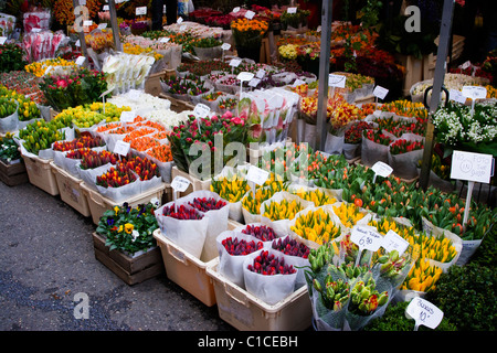 Blumen, Clogs & Cannabis-Starter-Kits - alle verfügbaren auf dem Blumenmarkt in Amsterdam Stockfoto