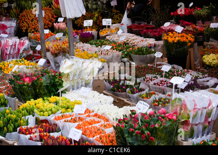 Blumen, Clogs & Cannabis-Starter-Kits - alle verfügbaren auf dem Blumenmarkt in Amsterdam Stockfoto