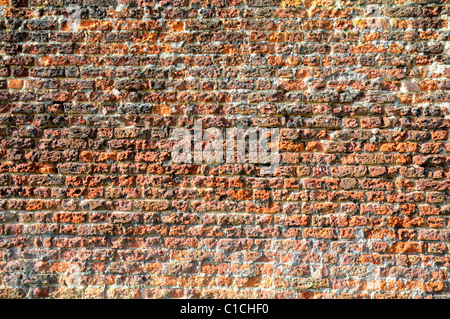 Nahaufnahme von Mauer Stockfoto
