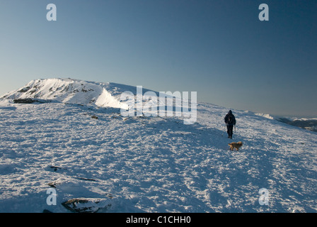 Walker und Hund auf dem Gipfel des Blencathra im Winter im englischen Lake District Stockfoto