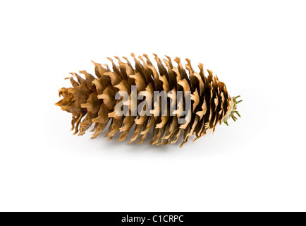 Kegel auf dem weißen Hintergrund isoliert Stockfoto
